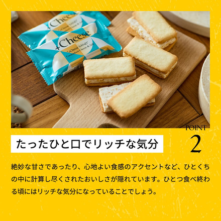 +Cheese プラスチーズ それはおいしい方程式！ 11個入り （チーズサンド6個とチーズタルト5個）