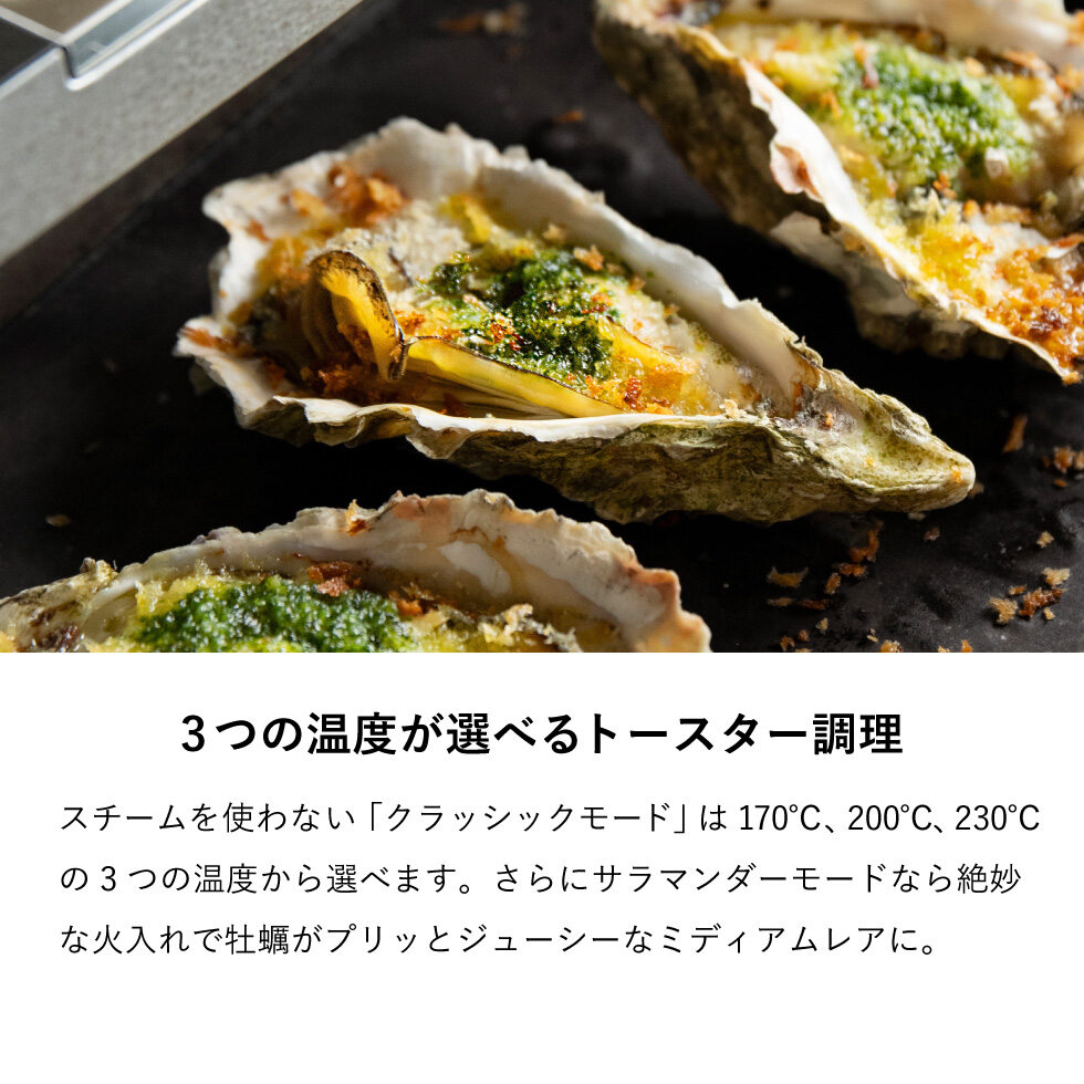 バルミューダ ザ・トースター プロ BALMUDA The Toaster Pro サラマンダー機能付きスチームトースター 正規販売店 K05A-SE