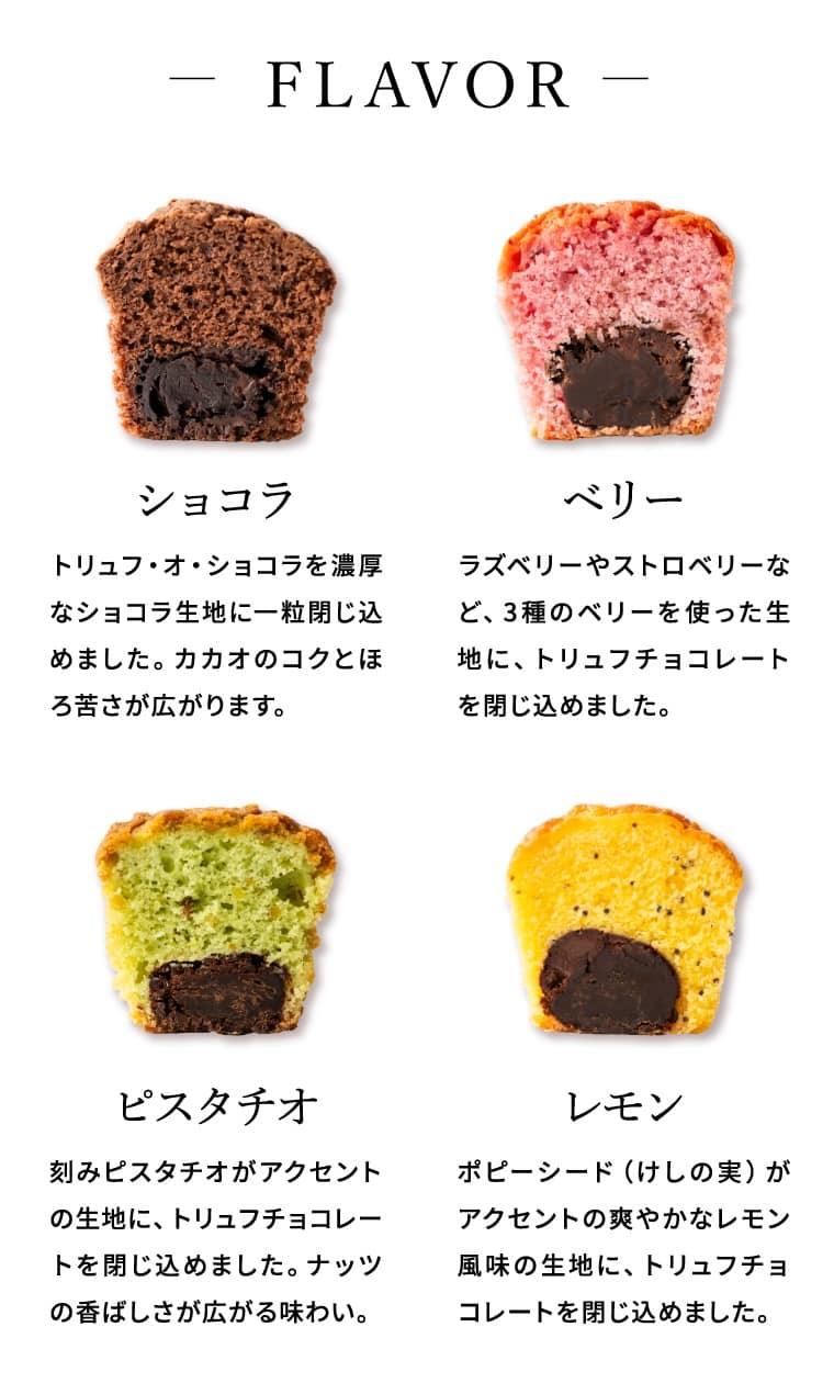 ブールミッシュ BOULMICH ミニトリュフケーキ 9個入 MTF-B / スイーツ 個包装 洋菓子 焼菓子