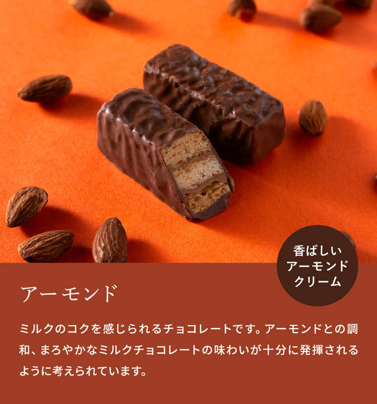 高島屋 法人事業部 セレクト メリーチョコレート ミルフィーユ 10個 MF-II / 高島屋 国産