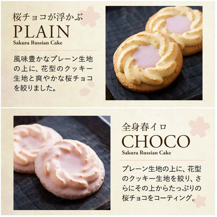 中山製菓 桜のロシアケーキ 6個 CHR-6