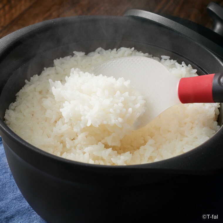 ティファール T-fal キッチンツール インジニオ＋ スタンディングしゃもじ K19307 / 自立式 食洗機対応
