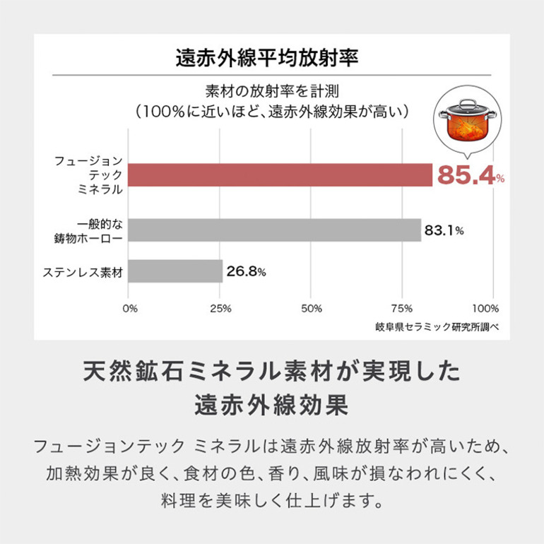 WMF ヴェーエムエフ フュージョンテック ミネラル ライスポット 20cm ガス火対応 IH不可 食洗機対応 W0519385290 グレー