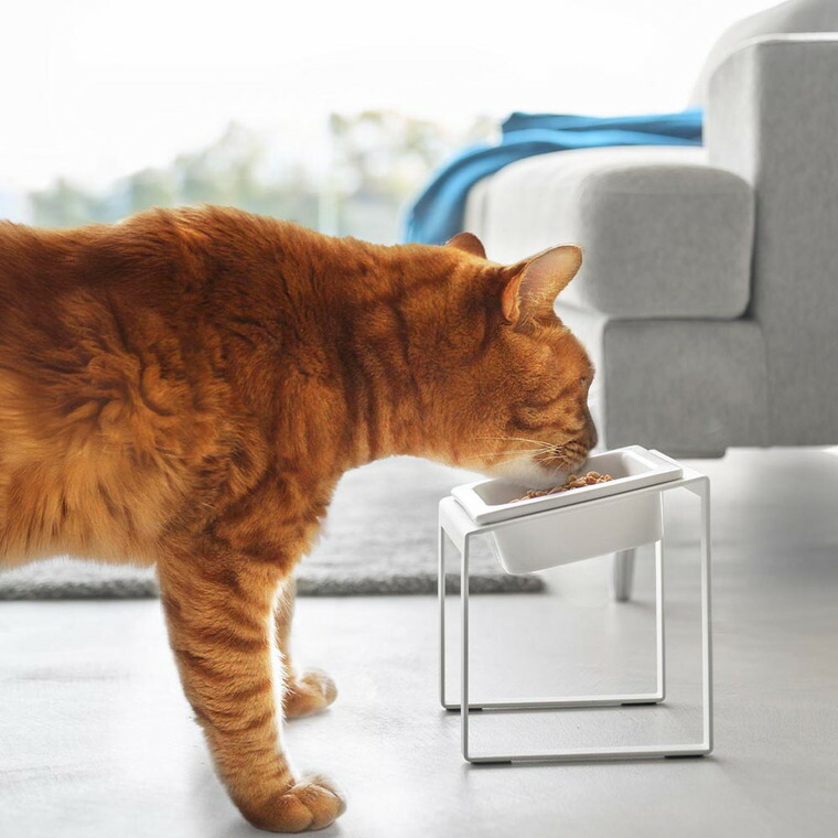 山崎実業 tower 早食い防止ペットフードボウルスタンド タワー 斜めハイタイプ 10239 10240 / ブラック