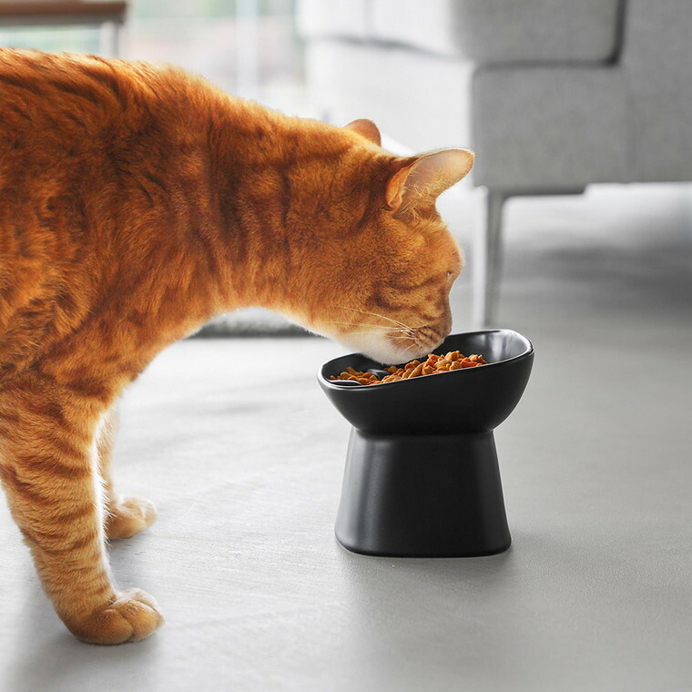 nooks 早食い防止陶器ペットフードボウル ヌークス 斜め H11.5 山崎実業 10557 10558 / ホワイト