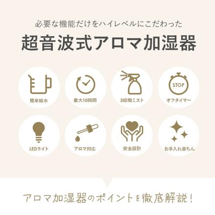 ビューウェル みんなにちょうどいい加湿器 超音波式アロマ加湿器 ライトグレー