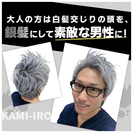 KAMI-IRO ヘアカラーワックス ヘアワックス シルバー