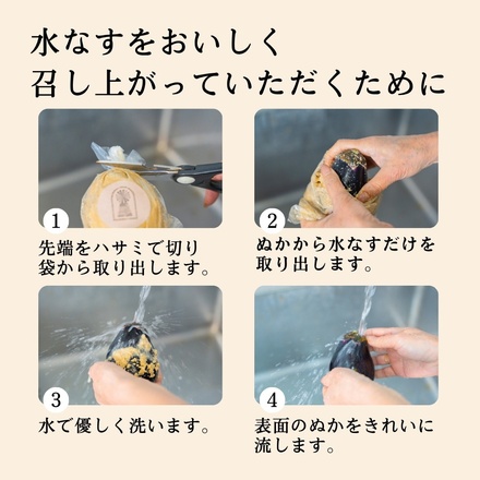 彩茄 水なす ぬか漬け 水茄子 大阪泉州 丸ごと1本×4袋入 チルド 冷蔵品 メーカー 問屋直送|漬物 浅漬け 水ナス 手作り 職人仕込み おつまみ ごはんのお供 お取り寄せ みずみずしい 岸和田市 高級食材 なす