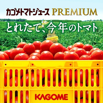 カゴメ トマトジュース プレミアム 食塩無添加 195ml紙パック×24本入×(3ケース)|プレミアム トマトジュース 国産トマト100%