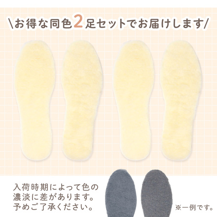 MILASIC あったか 羊毛混 インソール 2足セット イエロー Mサイズ TN-WMIS-VO-M