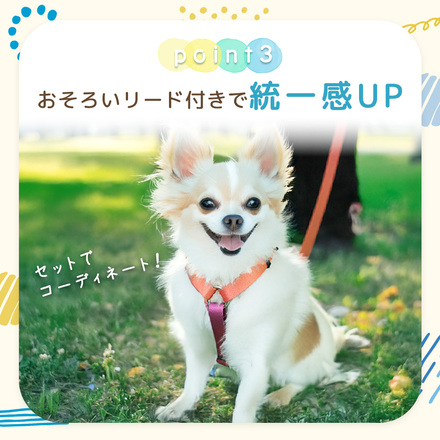 MILASIC 犬用 ハーネス ブルー Sサイズ TN-DGEG-BU-S