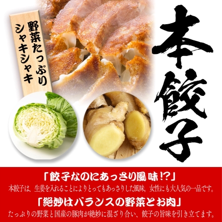 本餃子 48個 水餃子 48個 計96個