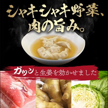 水餃子ニンニクあり 48個 水餃子 48個 計96個