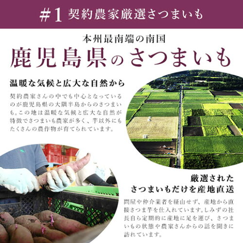 鹿児島県産 熟成大学芋 500g(250g×2個) しみずの芋菓子