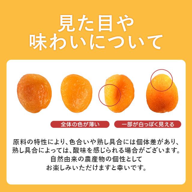 ドライアプリコット ドライフルーツ 700g