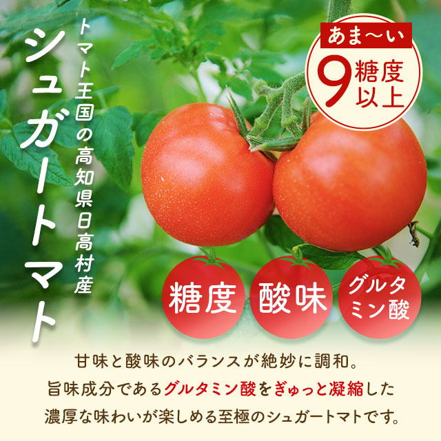 【26包】高知県日高村のフルーツトマト入りスープ