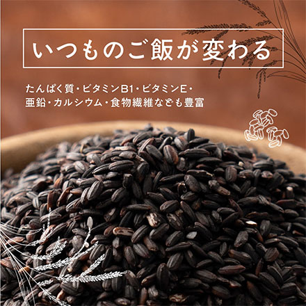 雑穀米本舗 国産 黒米 4.5kg(450g×10袋)