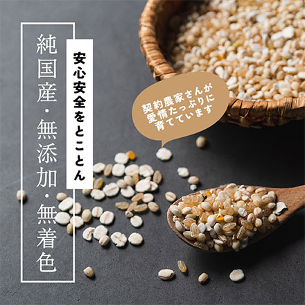 雑穀米本舗 国産 健康重視ヘルシーブレンド 2.7kg(450g×6袋)