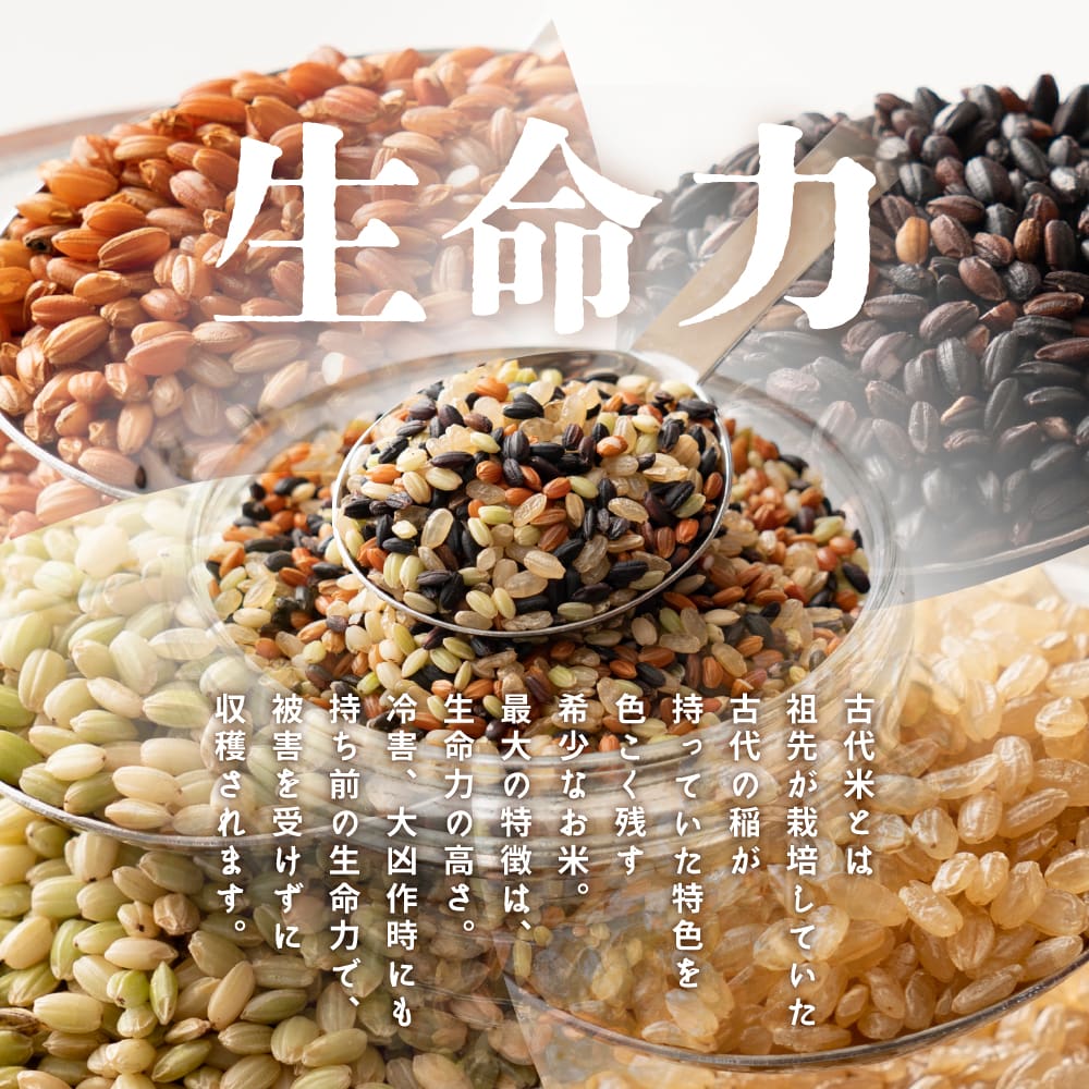 雑穀米本舗 国産 古代米4種ブレンド(赤米/黒米/緑米/発芽玄米) 2.7kg(450g×6袋)