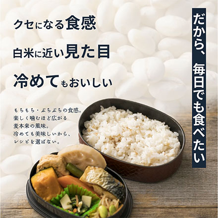 雑穀米本舗 国産 麦5種ブレンド(丸麦/押麦/はだか麦/もち麦/はと麦) 4.5kg(450g×10袋)