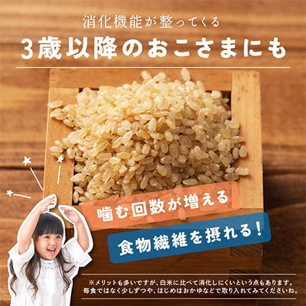 雑穀米本舗 国産 発芽玄米 4.5kg(450g×10袋)