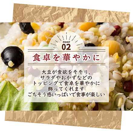 雑穀米本舗 国産 大豆 1.8kg(450g×4袋)