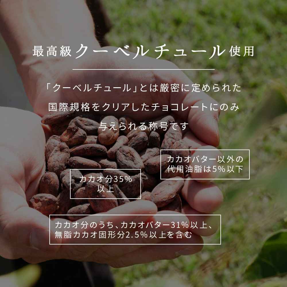 【予約受付】10月下旬～順次出荷 割れチョコ ハイカカオ 180g(常温・冷蔵)