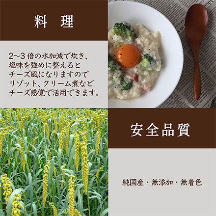 雑穀米本舗 国産 もちあわ 1.8kg(450g×4袋)