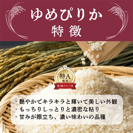 【セット販売】【白米】 北海道産 ゆめぴりか 5kg＋ななつぼし 5kg = 合計10kg