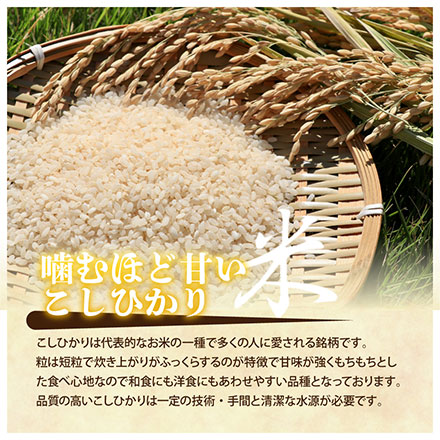 新米 【白米】39穀米ブレンド450gおまけ付き 静岡県掛川市上垂木産 こしひかり 5kg 令和6年産