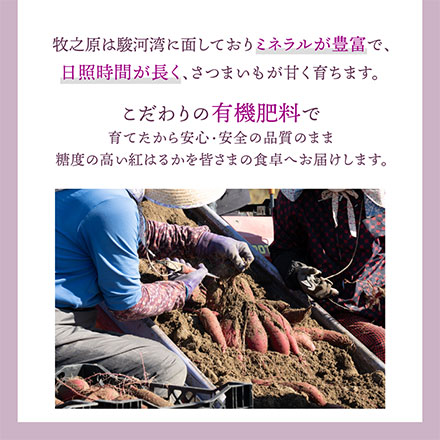 静岡県産 ”さつまいも” 紅はるか 5kg