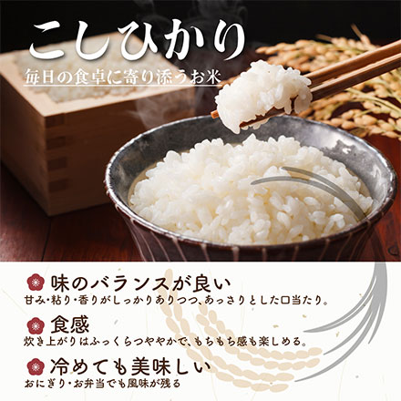 新米 三重県産 コシヒカリ 10kg ( 5kg×2 ) 令和7年産
