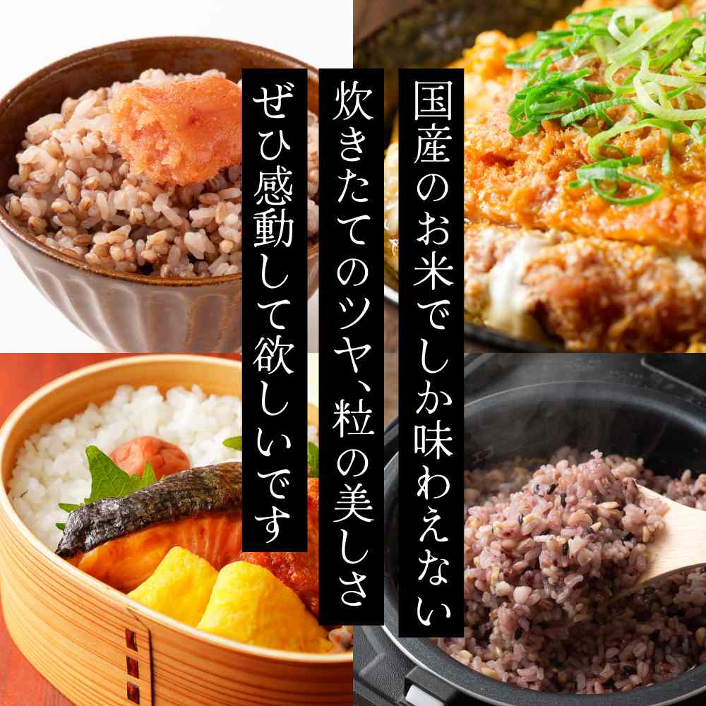 【白米】青森県産 まっしぐら 5kg(5kg×1袋)