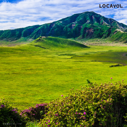 味彩牛　ローストビーフ（モモ）350g〈ソース付き〉 九州地方 熊本県 美食うまいもん市場