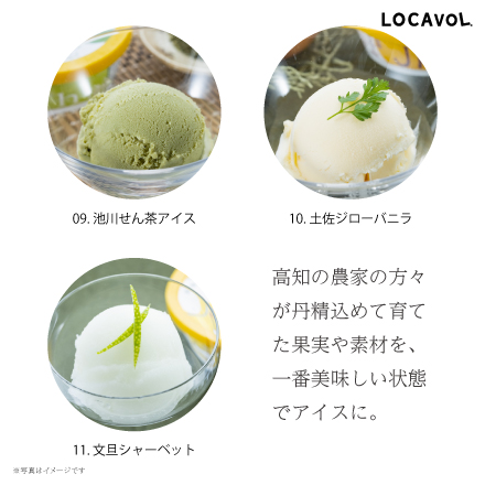 カップアイス大集合セット 高知県 四国地方 美食うまいもん市場