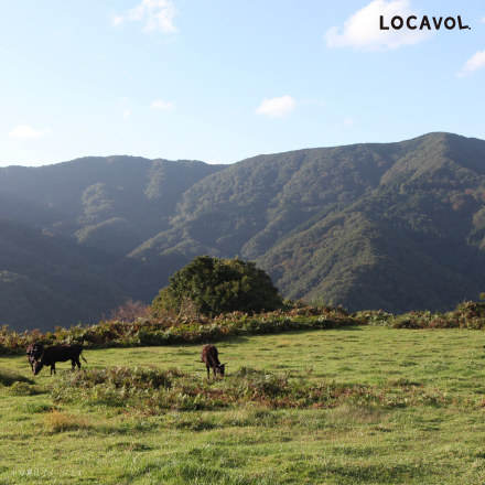 但馬牛 網焼き肉（モモ）500g 兵庫県 近畿地方 美食うまいもん市場