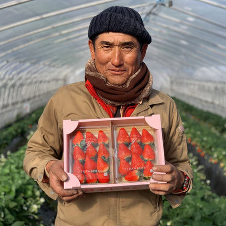 特選季節のフルーツ│とちあいか2パック300g