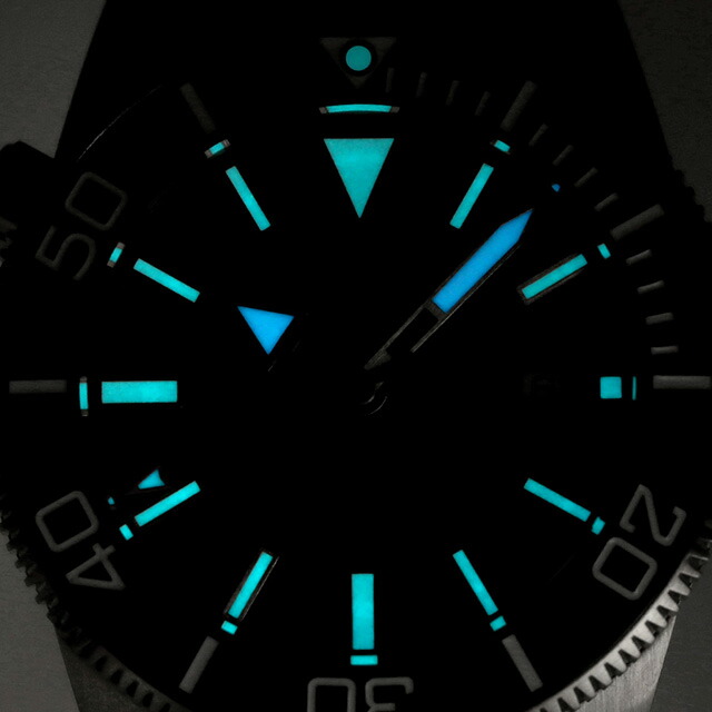 ダボサ アルゴノーティック BG 自動巻き 腕時計 メンズ DAVOSA 161.528.20 アナログ ブラック 黒 スイス製 ブランド おしゃれ 防水 プレゼント 男性 実用的