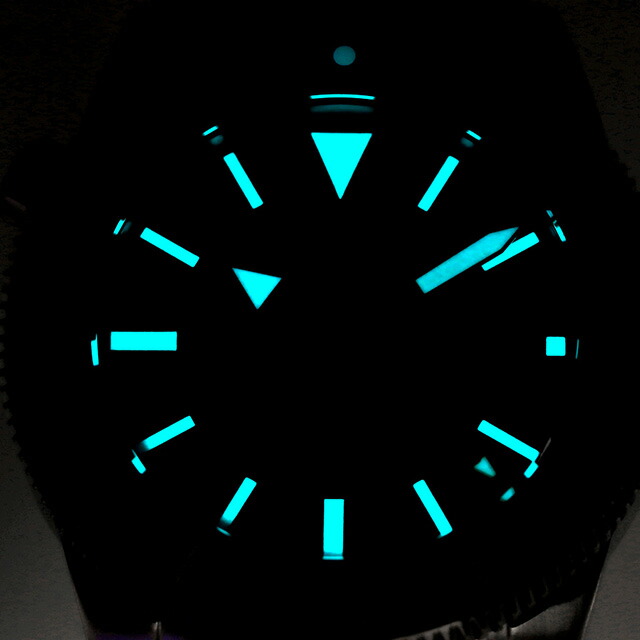 ダボサ アルゴノーティック BG 自動巻き 腕時計 メンズ DAVOSA 161.528.40 アナログ ネイビー スイス製 ブランド おしゃれ 防水 プレゼント 男性 実用的