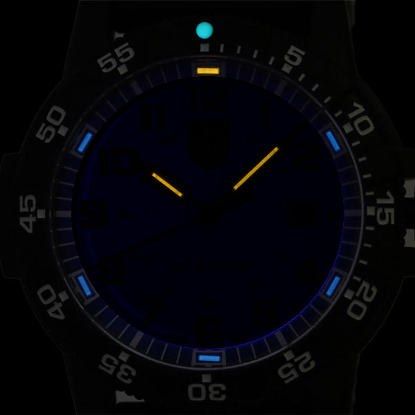 ルミノックス 0320シリーズ 腕時計 LUMINOX レザーバック シータートル ジャイアント 0323 時計