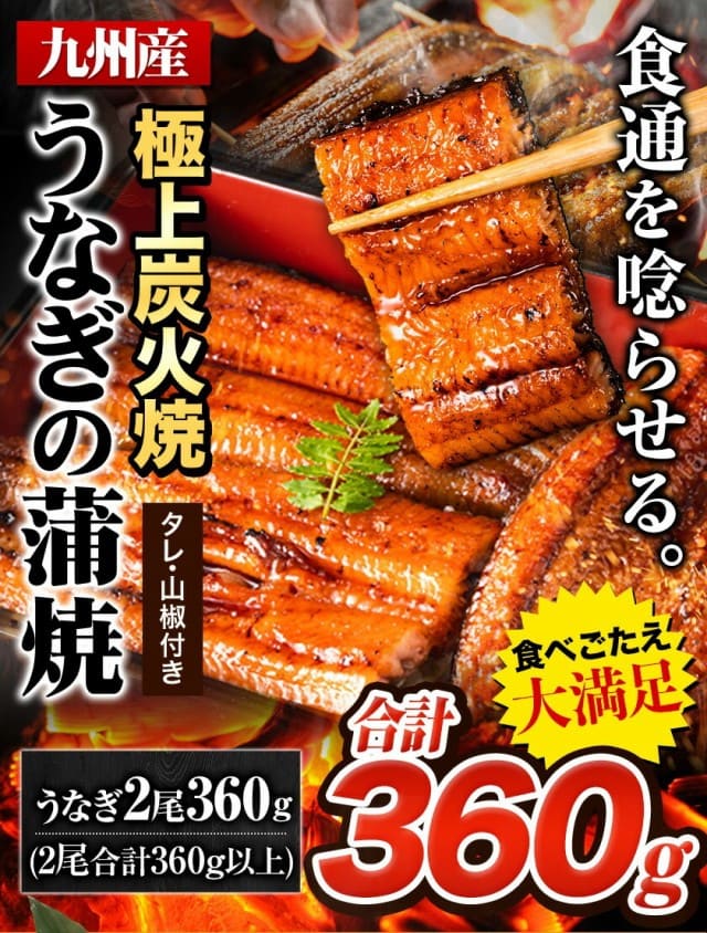 うなぎ 2尾 合計360g以上 特大サイズ うなぎの蒲焼 うなぎの蒲焼き 国産 蒲焼き 鰻 九州産 たれ さんしょう のセット 有頭 ウナギ 鰻 贈り物 ボイル 九州 蒲焼 冷凍 【1-5営業日以内に発送予定（土日祝除く）】