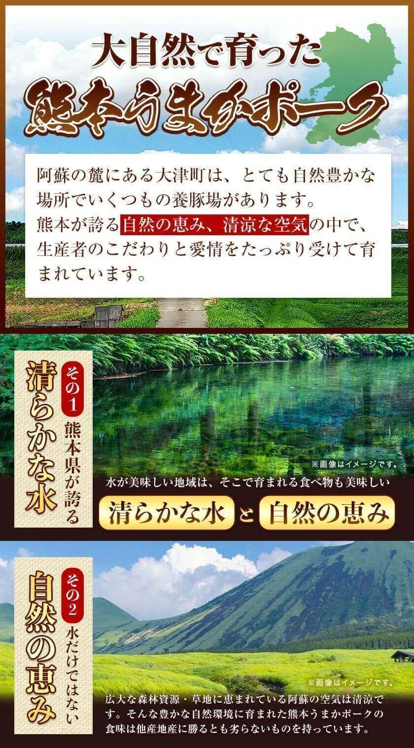 訳あり 豚肉 切り落とし 1.8kg 300g×6袋 豚 細切れ こま切れ 肉じゃが 小分け うまかポーク ぶた肉 真空パック 簡易包装 《7-14営業日以内に発送予定(土日祝日除く)》