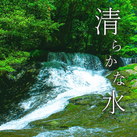 【 熊本県産 くまさんの輝き 無洗米10kg 】 速攻出荷 令和7年産