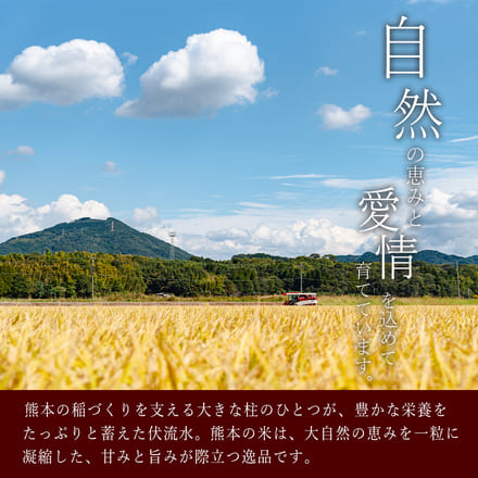 【 熊本県産 森のくまさん 無洗米 20g 】 速攻出荷 令和7年産