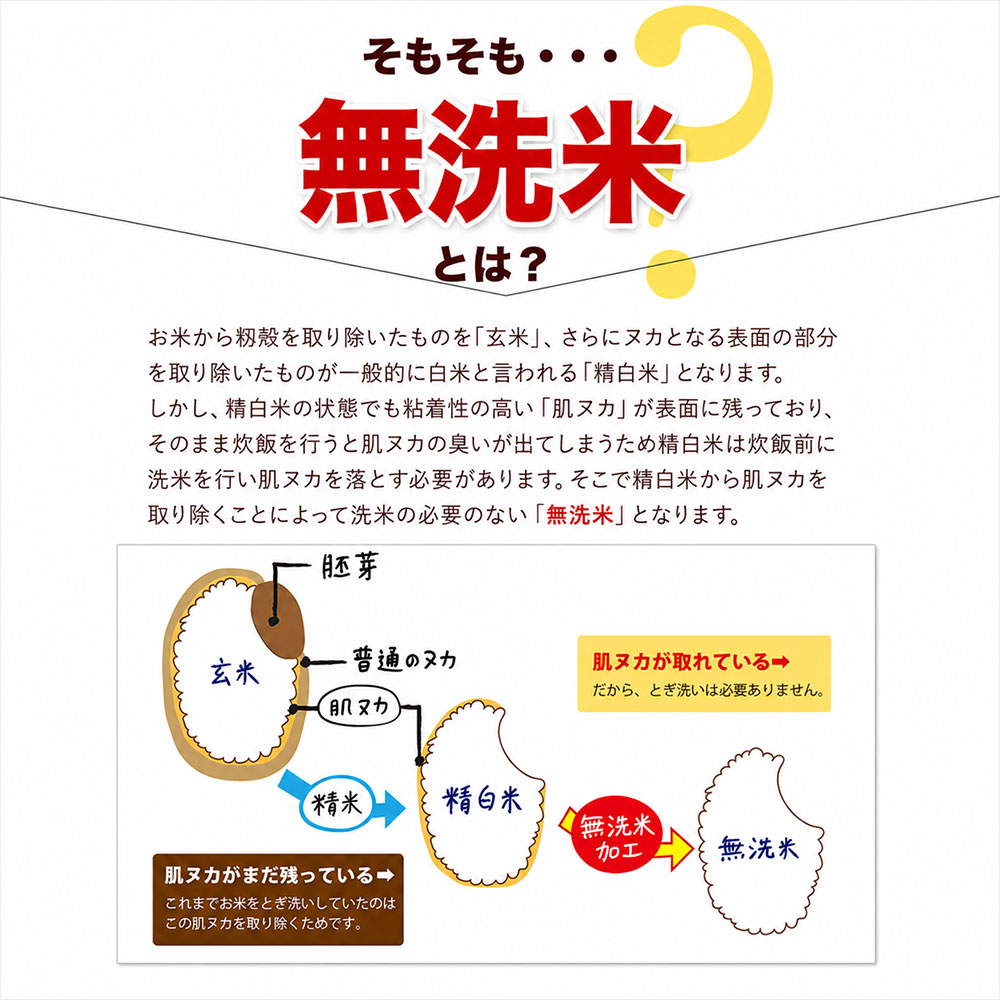 【★最短翌日発送！！★】令和7年産 米 国産 ブレンド ふるさと 無洗米 5kg 精米 国産ふるさと無洗米 非常食 保存食 こめ コメ kome ご当地風土 熊本 1-3営業日以内に出荷予定(土日祝除く)