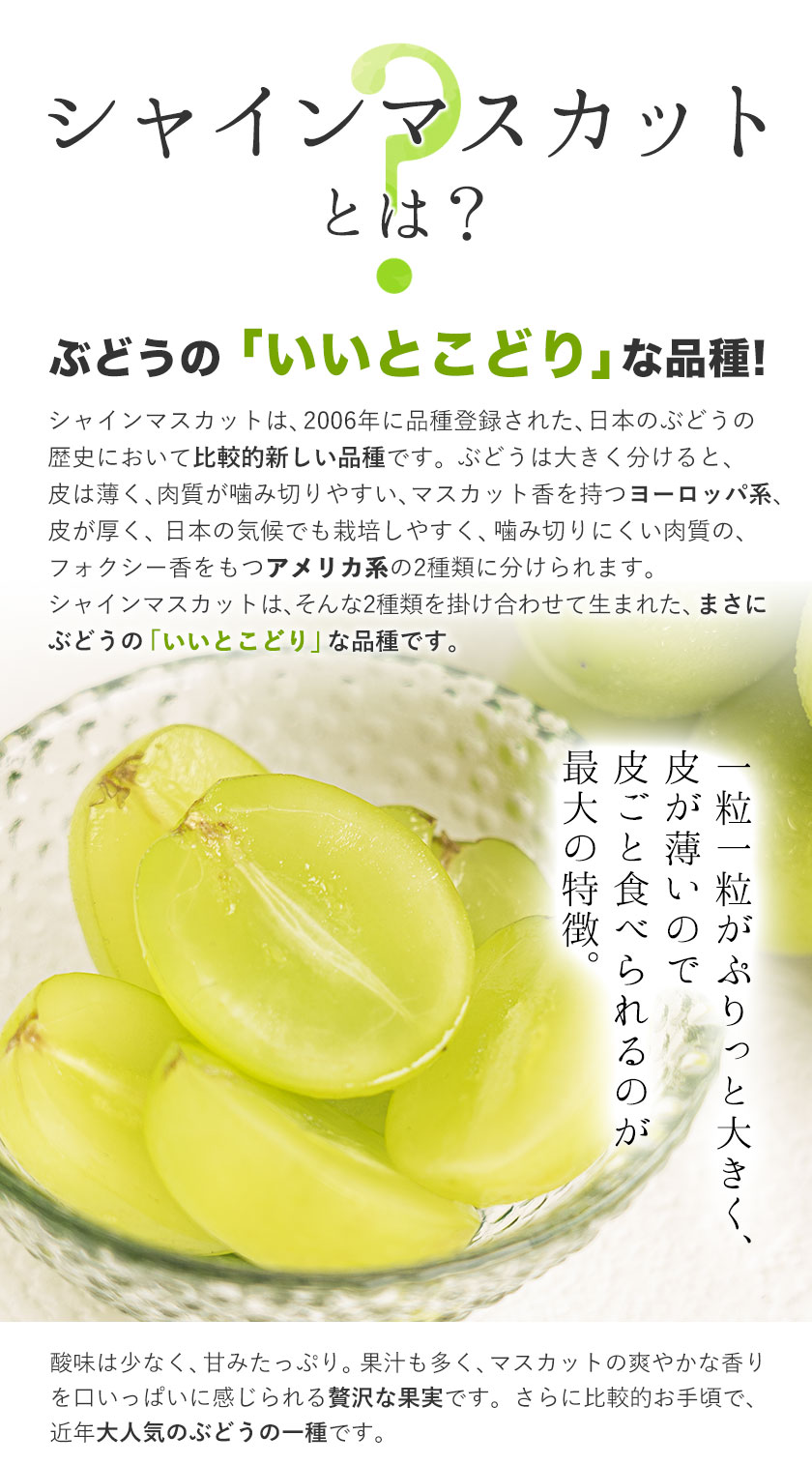 【予約販売】岡山県産 晴王 シャインマスカット 約2.0kg 3房 種なし 皮ごと食べられる 9月上旬-9月下旬頃出荷