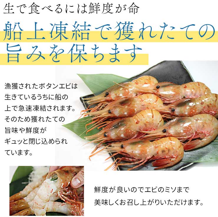 お刺身用 ボタンエビ 500g（10～16尾） [ぼたんエビ500g]