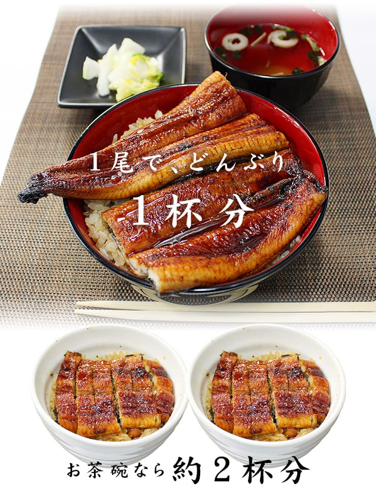 訳あり 国産 うなぎ 長蒲焼き(160g～170g)×2尾セット タレ・山椒つき [ウナギ長蒲焼き-2p]