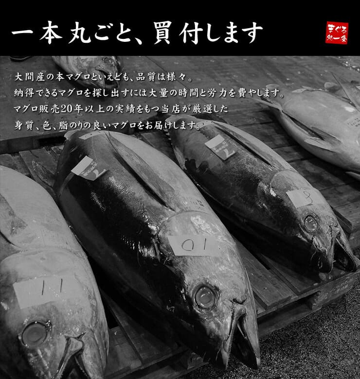 訳あり 大間産 本マグロ 切り落とし200g 可食部100％ [大間産本鮪切り落とし]