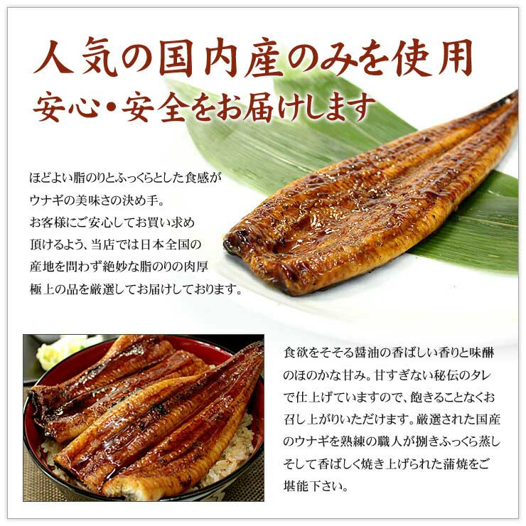 訳あり 国産 うなぎ 長蒲焼き 1kg 身が崩れたりサイズが不均一の訳あり品 [訳ありウナギ蒲焼き500g-2p]